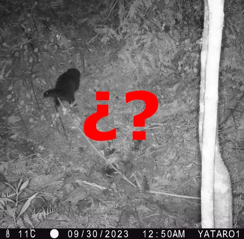 Imagen del post Recobrando el poder