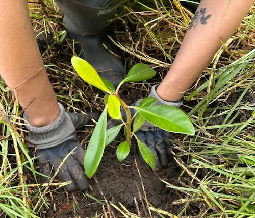 Imagen del post Recobrando el poder