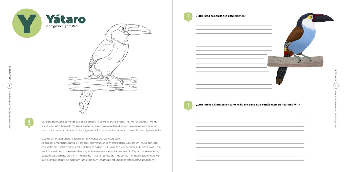 Imagen de un cuadernillo didáctico con la imagen y la descripción de un tucán para colorear y varias preguntas para que los usuarios del cuadernillo respondan. 