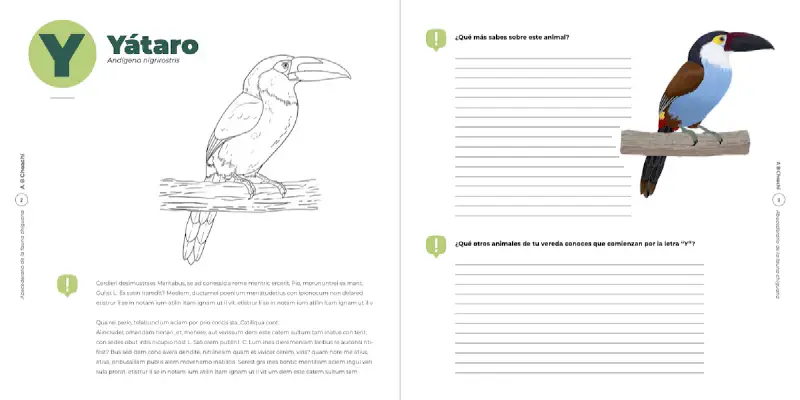 Image of an educational booklet with the image and description of a toucan to color and several questions for the booklet users to answer.